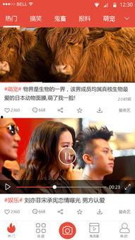 爆料剧情视频下载安装最新,爆料视频背后的秘密与惊喜 第2张 爆料剧情视频下载安装最新,爆料视频背后的秘密与惊喜 第2张