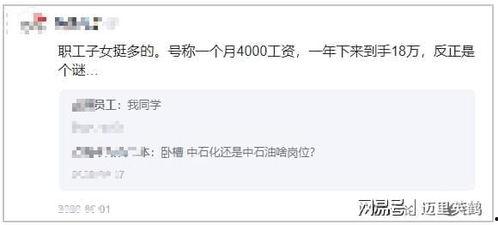 中石化最新爆料,行业变革背后的关键动态与战略布局  第1张