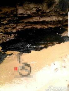 延安油田爆料最新消息今天,最新勘探成果助力能源产业新突破  第1张